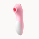 SUCCIONADOR BIGGI USB